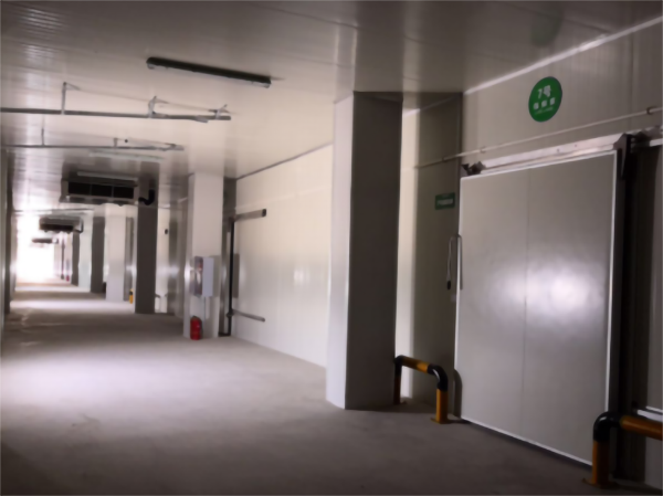 食品公司內建造一個1000平包子、水餃速凍冷庫費用是多少？