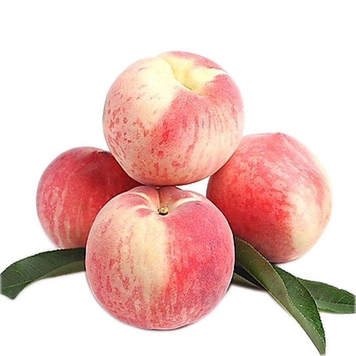 桃子冷庫(kù)保鮮方法，水果氣調(diào)庫(kù)安裝設(shè)計(jì)