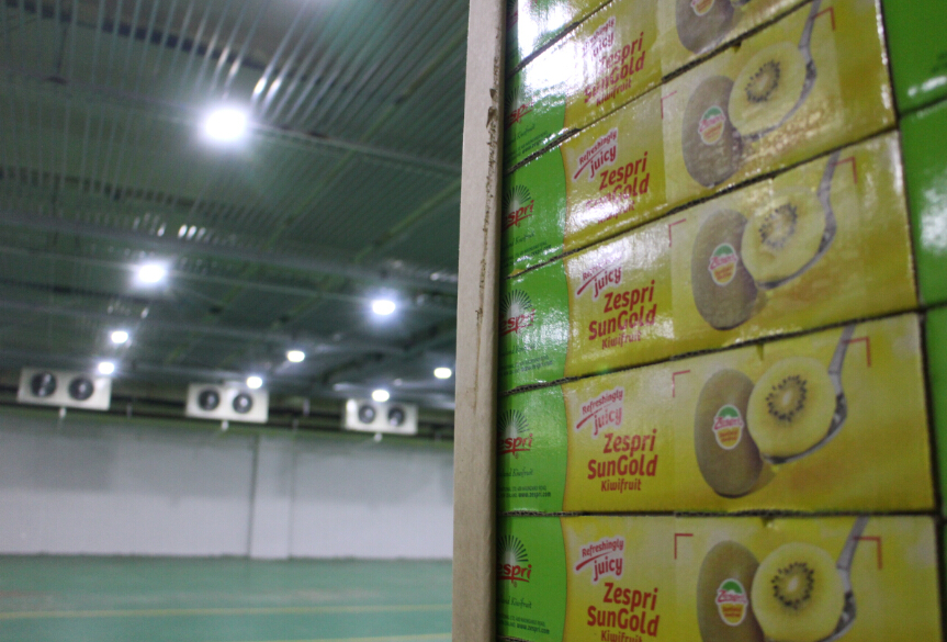 上海開(kāi)冉制冷獼猴桃保鮮庫(kù)安裝