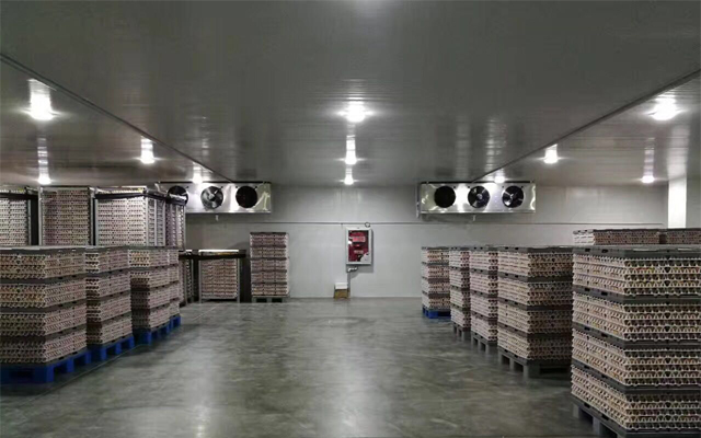 20000立方米生鮮物流冷庫建造工程價格，冷庫方案