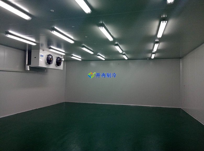 100m3血液冷庫溫度一般多少度，醫療冷庫報價  冷庫內景圖片 